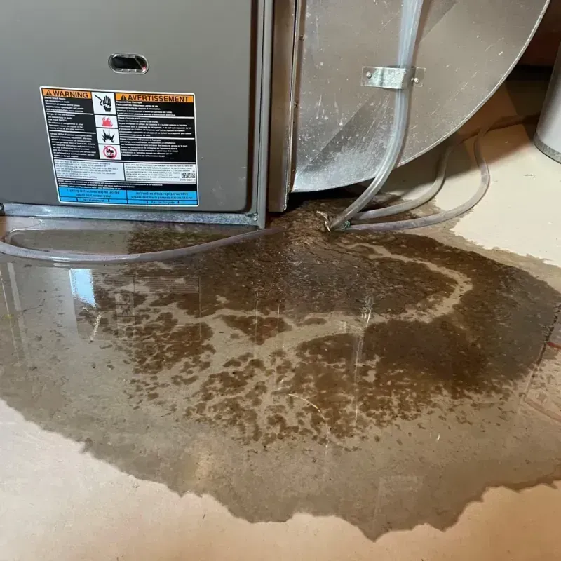 Appliance Leak Cleanup in French Settlement, LA